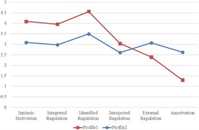 Motivation Profiles for Physical Activity Among Office Workers